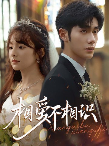 相爱不相识（67集）李铂一&王子怡 高清完整版