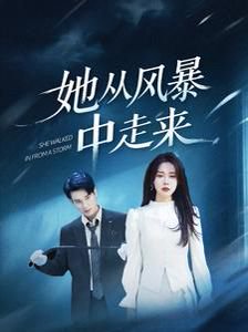 她从风暴中走来（60集） 高清完整版